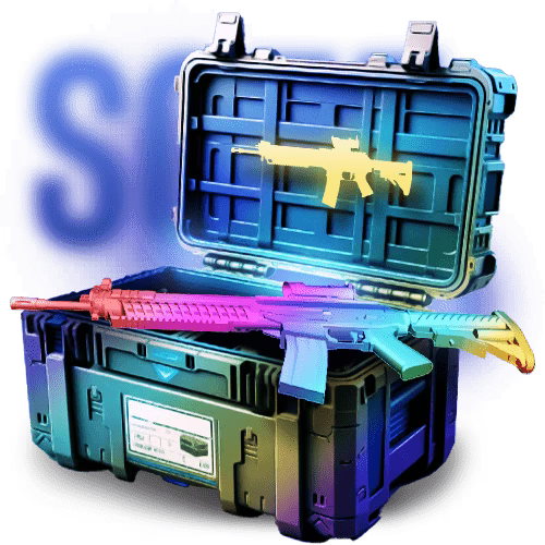 SG 553 case